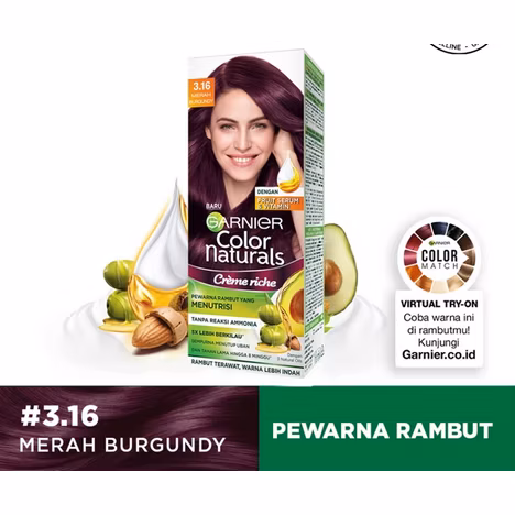 Garnier Color Natural Ex 3.16 Sch (Box)