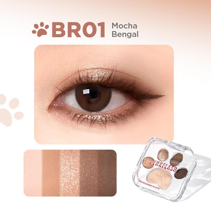 Pinkflash 5 Color Eyeshadow Palette PF-E35 BR01