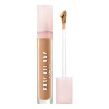 Rose All Day The Realest Airyfit Concealer Warm Honey